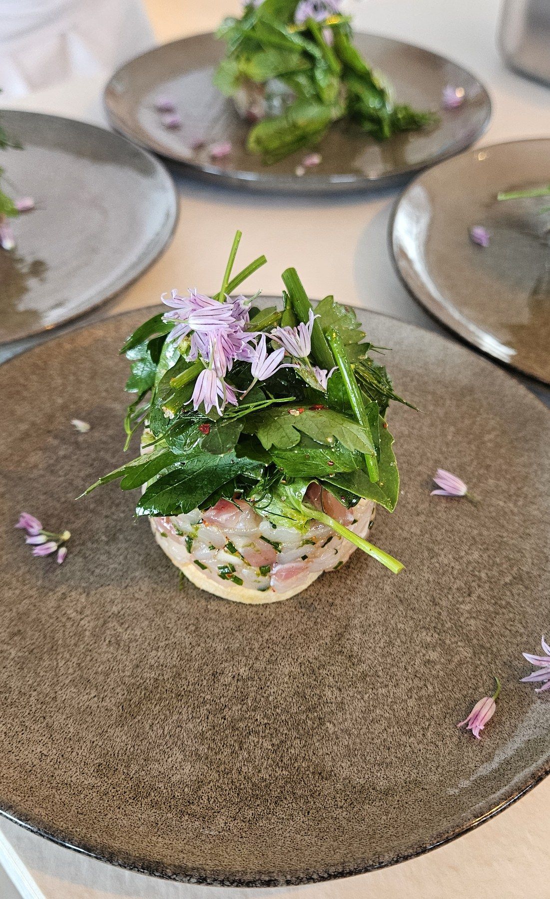 Plated course with greens, fresh herbs and a clear jus.