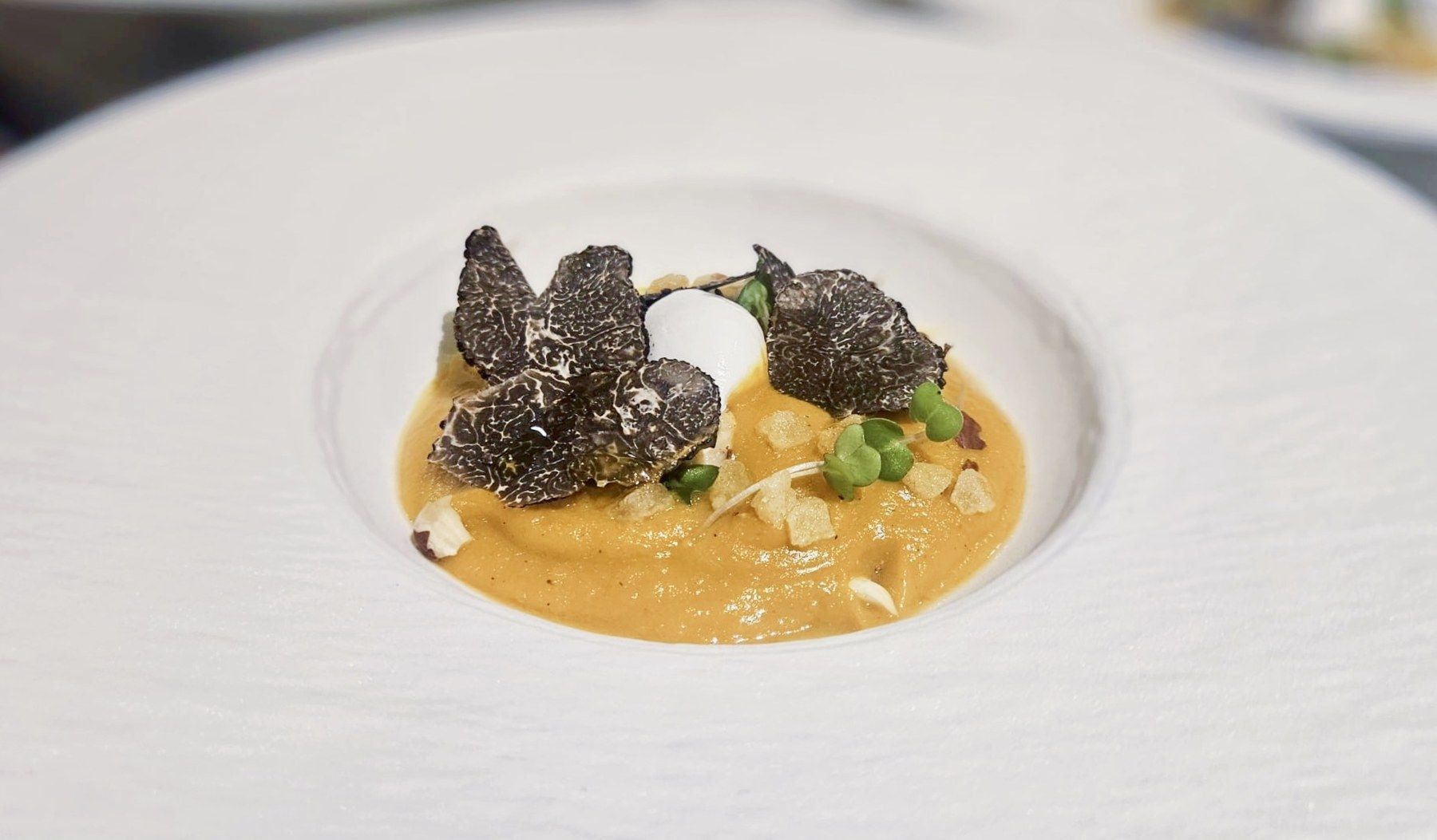 Black truffle shavings over a velouté in a deep plate.